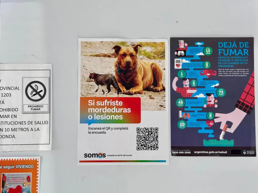 Habilitan nueva herramienta para registrar eventos de mordeduras a causa de perros y gatos