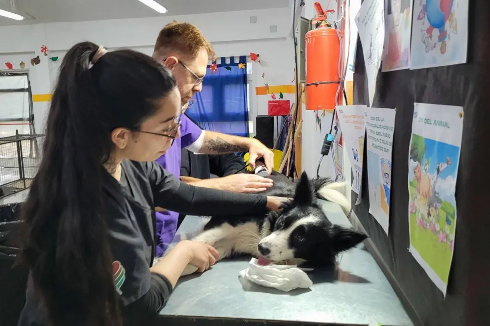 Tolhuin lanza la 3° campaña de salud veterinaria del año 2025